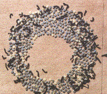 (21435 bytes)