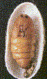 (5458 bytes)